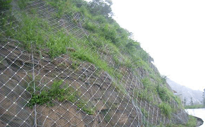 綠化鐵絲網(wǎng)