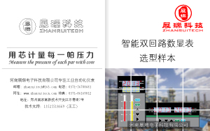雙回路-智能數(shù)顯表-選型樣本-免費下載