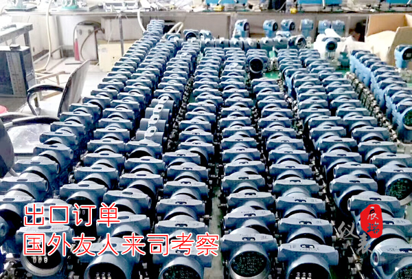 3051壓力差壓變送器外貿(mào)出口訂單,客戶現(xiàn)場(chǎng)考察